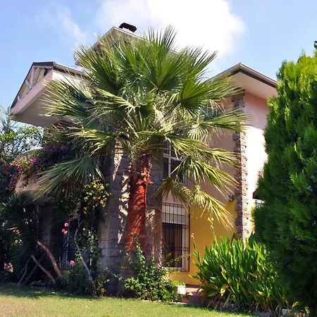 Garden *